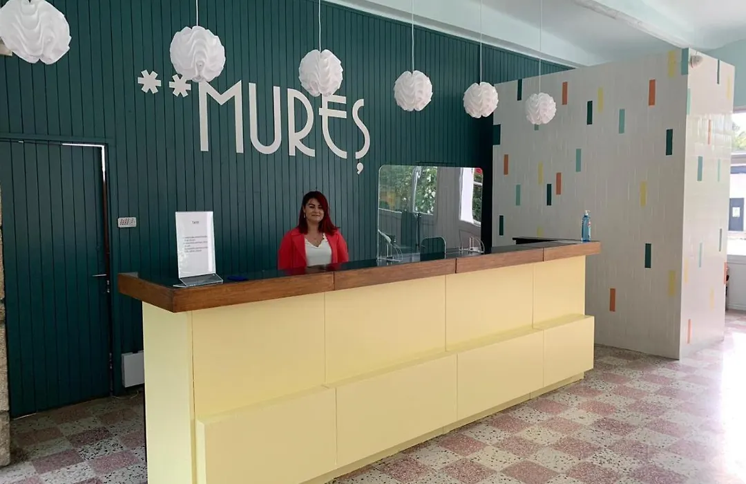 Hotel Mures-1
