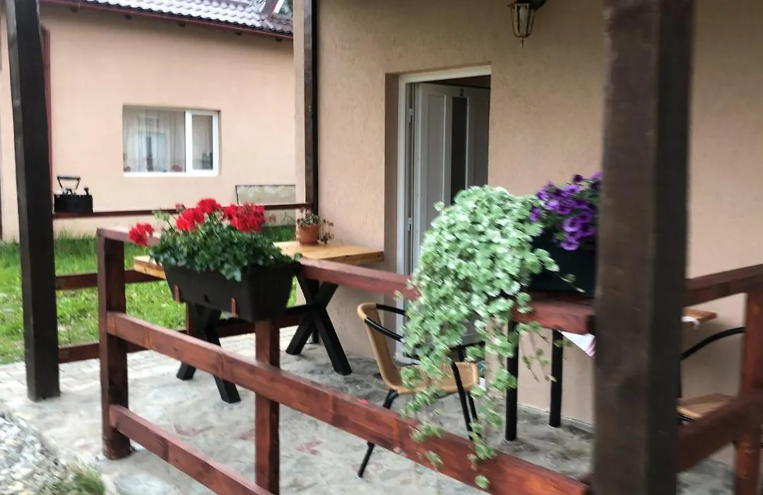 Casa Albert Valea Avrigului-1