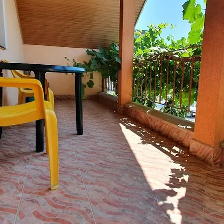 Vila Vasile-2
