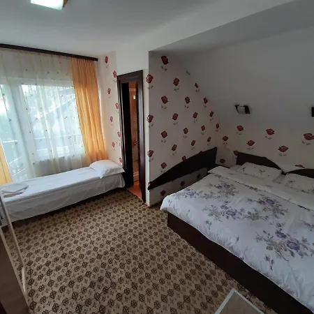 Vila Nicolai-3