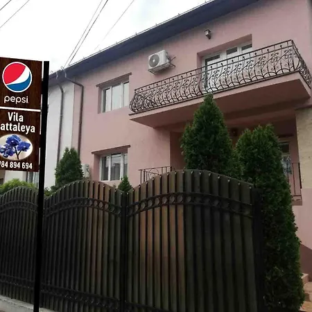 Casa Cattleya-3