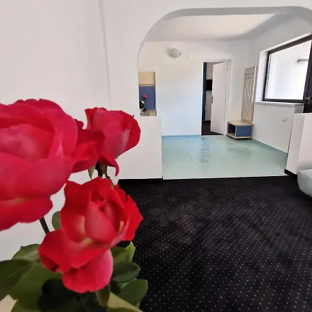 Apartamente Liliacul-3