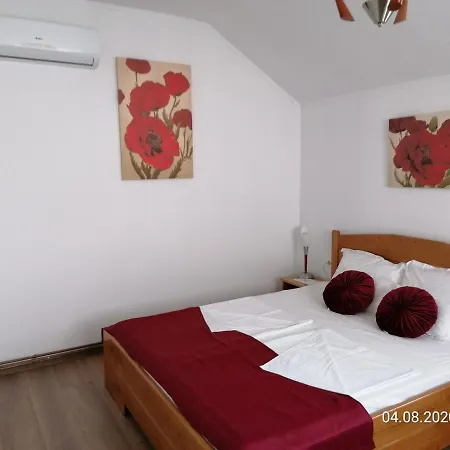 Pensiunea Ioana-2