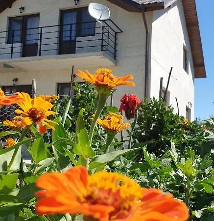 Pensiunea Agroturistică Angheliki-3
