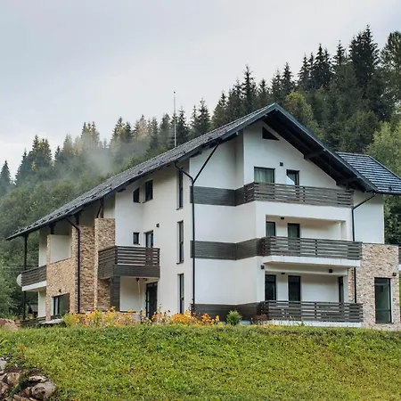 Comoara Rarăului-2