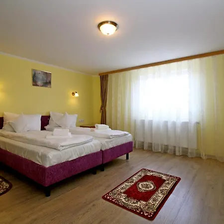 Pensiunea Nelu&Klein-3