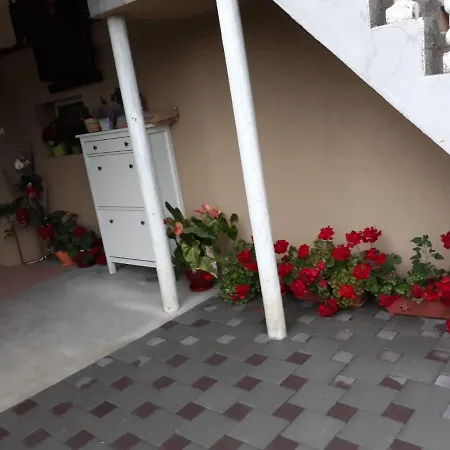 Casa Sannicolau-3