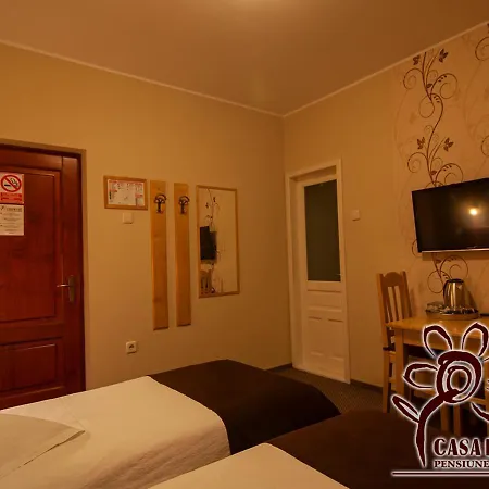 Casa din Parc-3