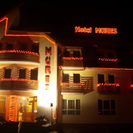 Hotel Mures-2