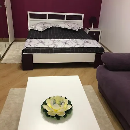 Cozy Studio Romexpo-3