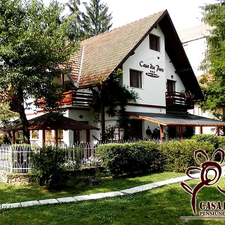 Casa din Parc-2