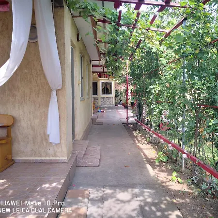 Casa de vacanta Alexoiu 2 Mai-3