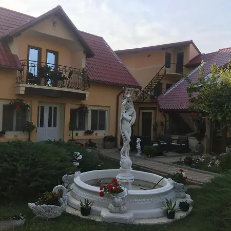 Pensiunea Darius Costinesti-2