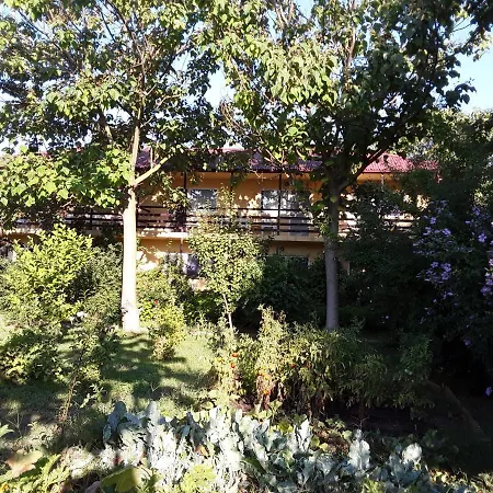 vila catrini-3