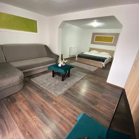 Vila Sorina-2