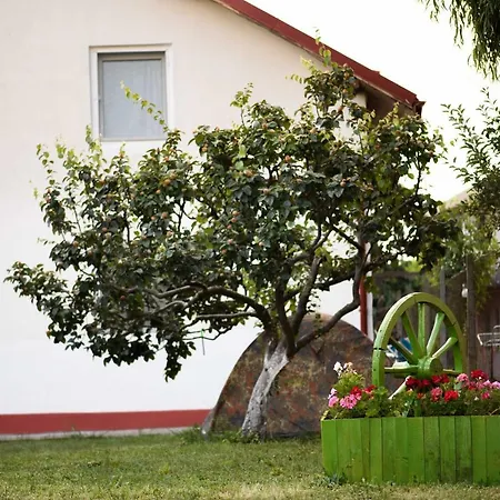 Vila toate Panzele Sus-3