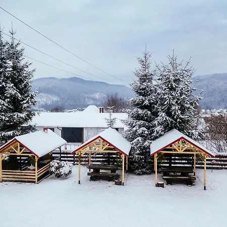 Pensiunea Bucovina-3