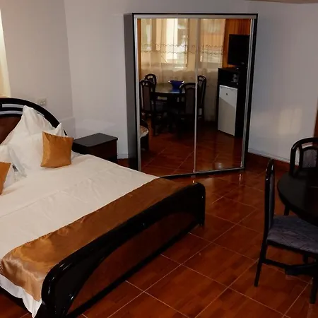 Pension Cuibul Viselor-2
