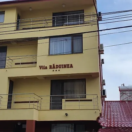 Vila Raduinea-2