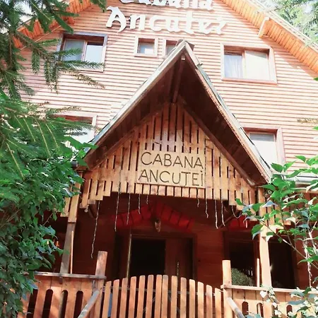 Cabana Ancutei-2