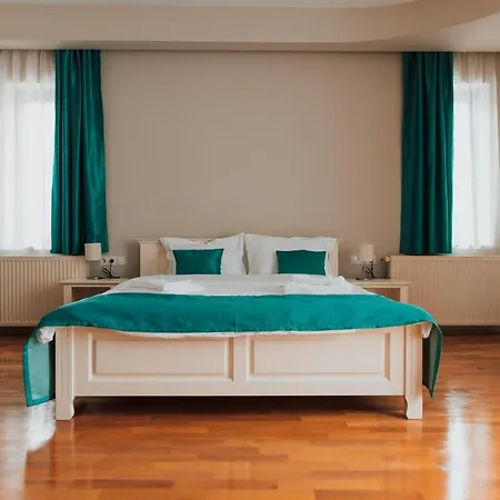 Green Villa Sibiu-2