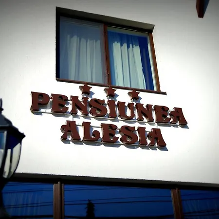 Pensiunea Alesia-3