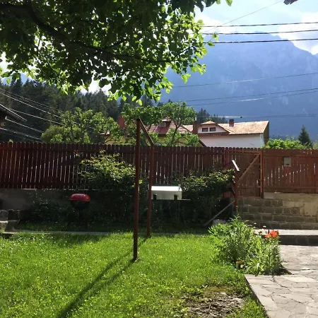 Casa Galbena Busteni-2