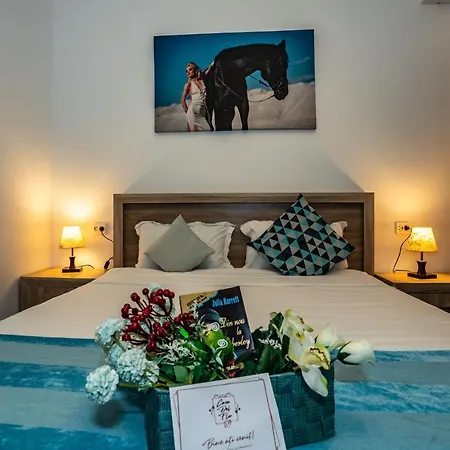 Casa Del Flor Costinesti-3