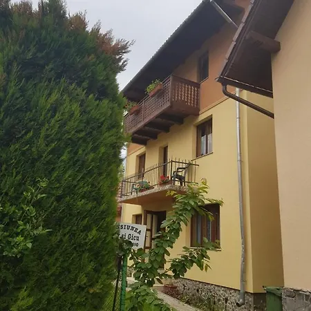 Pensiunea Valy Si Gicu-3