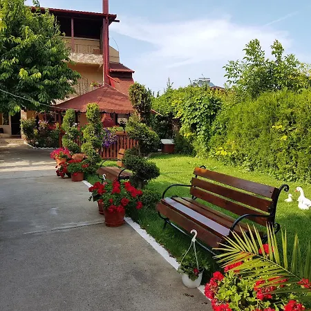 Vila Razvan Costinesti-3