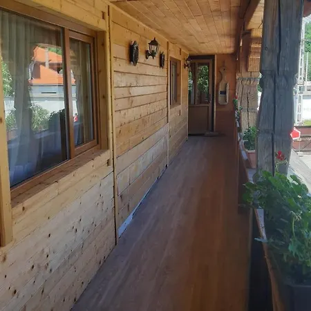 Pensiunea Casa Buga-3