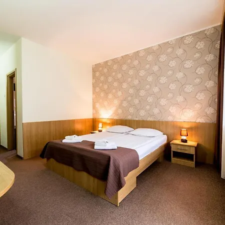 Hotel Muresul Health Spa-3