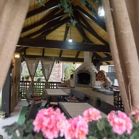 Casa Dana Putna Bucovina-2