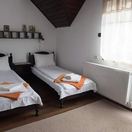 Casa Dana Putna Bucovina-3