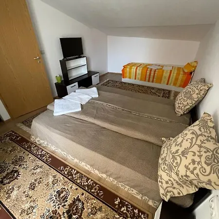 Casa Wiesmann Băile Felix-2