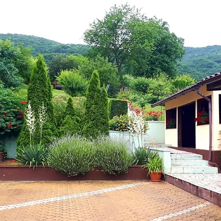 Silva House-2