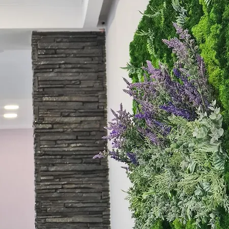 Pensiunea Lavanda, Piatra-Neamț-2