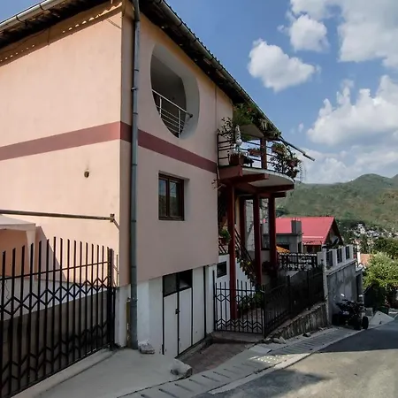 Casa Olanesti-3