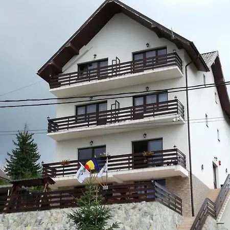 Sport Avalanche-3