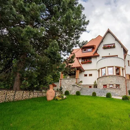 Moviliţa Residence-2