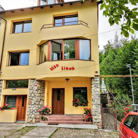 Vila Liana-3