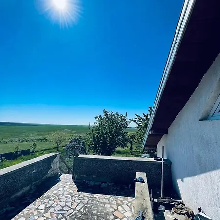 La Elvetian-3