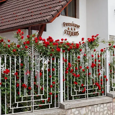 Pension Stejeris-2