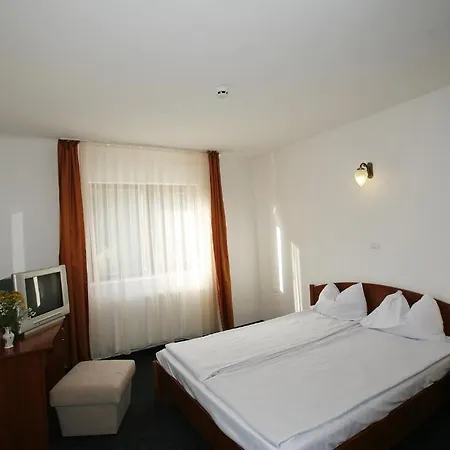 Hotel Paltinis-3