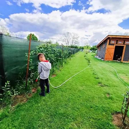 Tiny House - Baia De Fier-2