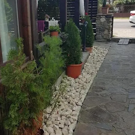 Casa De Vacanta Valea Argesului-3