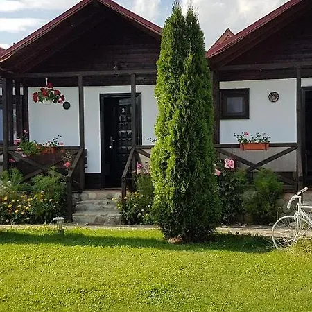 Casa De Vacanta Valea Argesului-2