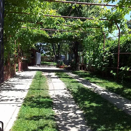 Gms House Costinesti-2