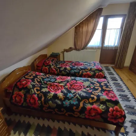 Pensiunea Ghiță Vasile-3