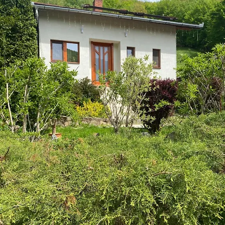 Casa dintre Brazi Hunedoara-3
